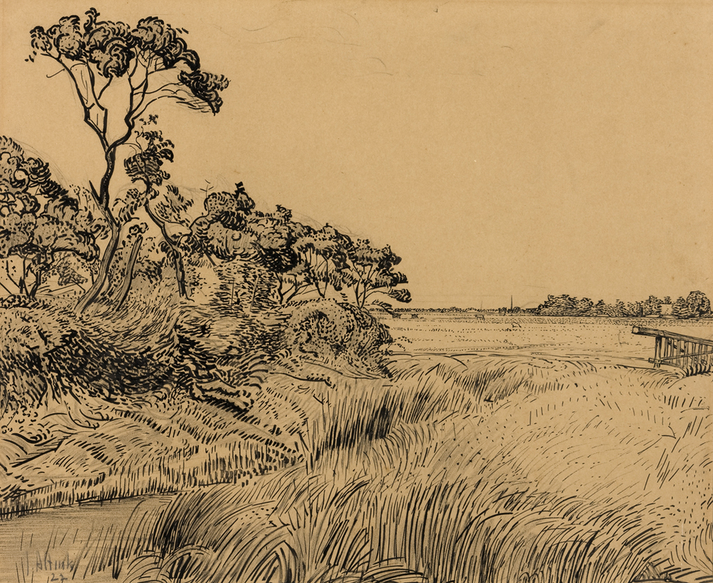 Landschap met bomengroep